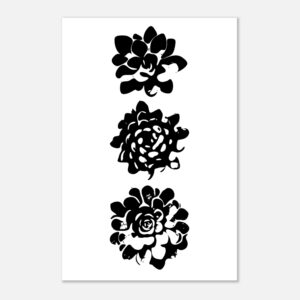 Three Succulents Graphic Print 60x90 cm / 24x36″